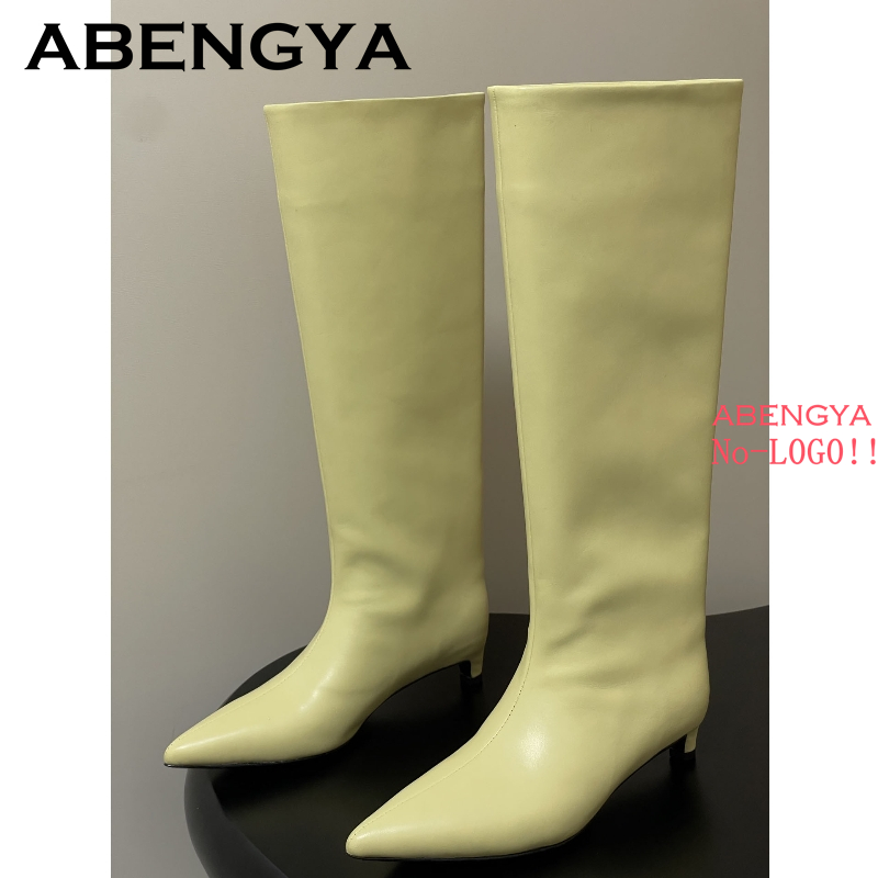 2025 Sonbahar Kış Yavru Topukl - Women'S Fashion Boots 2025 incelemesi ve fiyatı