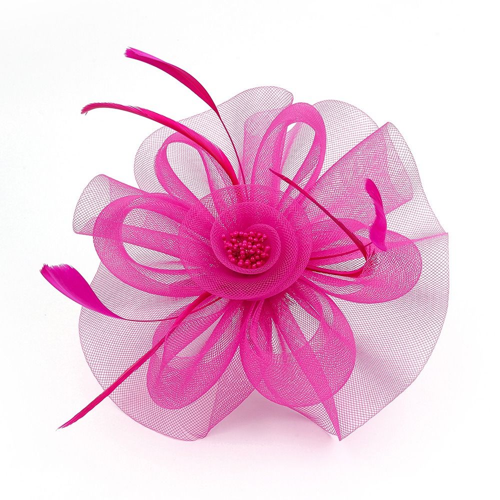 Tüyler şerit Fascinator şapkal - Women'S Fashion Kentucky Derby incelemesi ve fiyatı